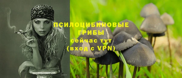 ПСИЛОЦИБИНОВЫЕ ГРИБЫ Кукмор