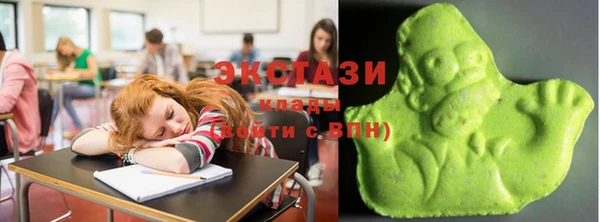 стаф Кулебаки