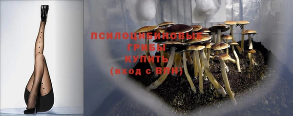 ПСИЛОЦИБИНОВЫЕ ГРИБЫ Кукмор