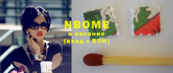 стаф Кулебаки