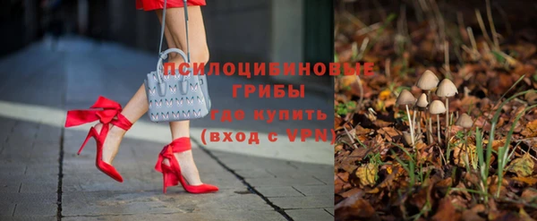 стаф Кулебаки