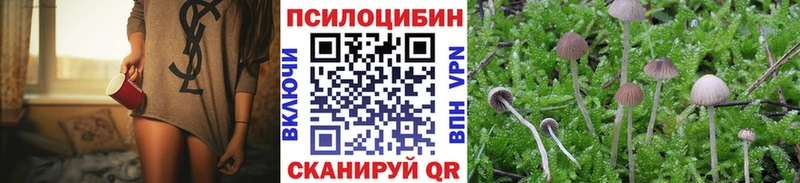 Псилоцибиновые грибы мицелий  Купить закладки  Фролово 
